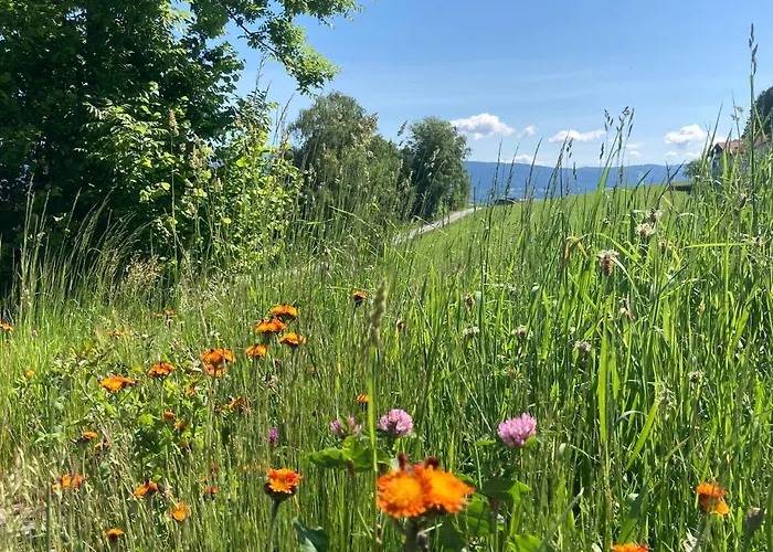 Lichteck - Helle Ferien