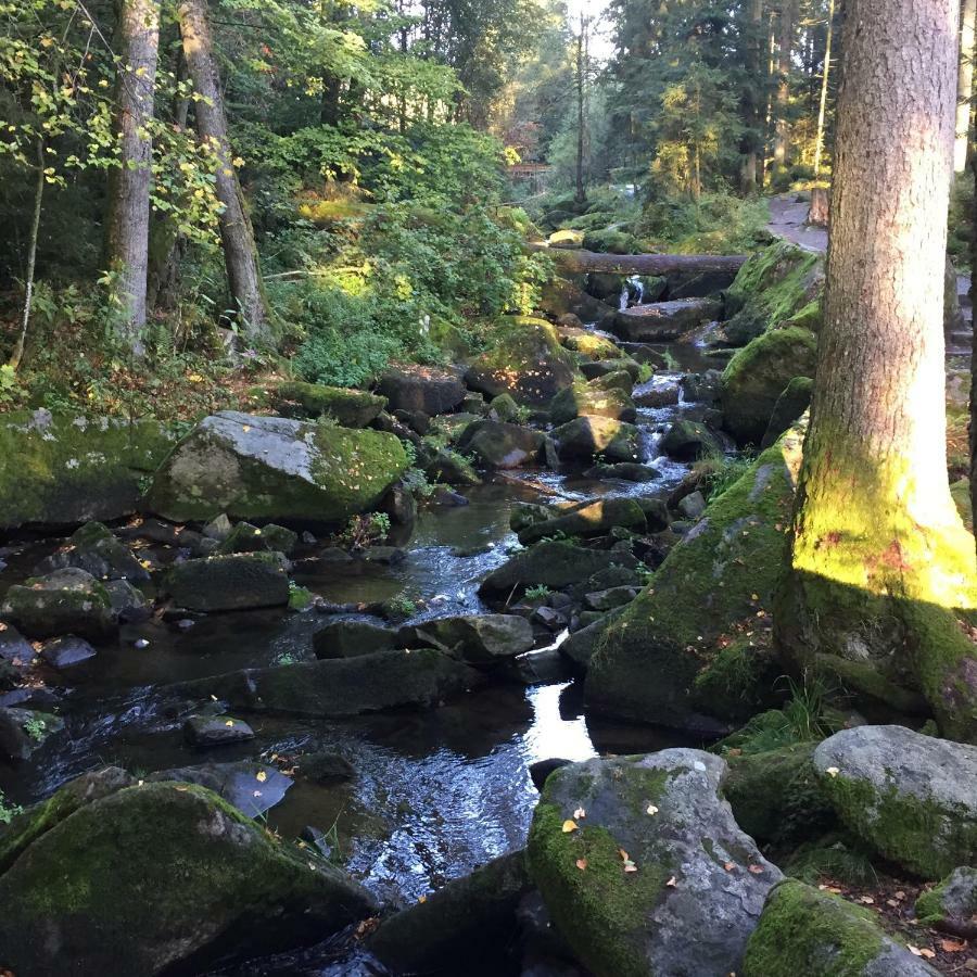 Lichteck - Helle Ferien