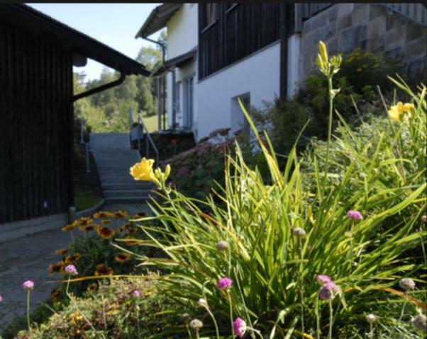 Appartement Lichteck - Helle Ferien *